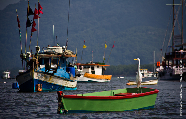 bertioga-com-seu-canal-cheio-de-barcos-de-pesca-e-iates-de-lazer