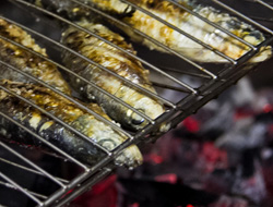 abre-gastr-portuguesa