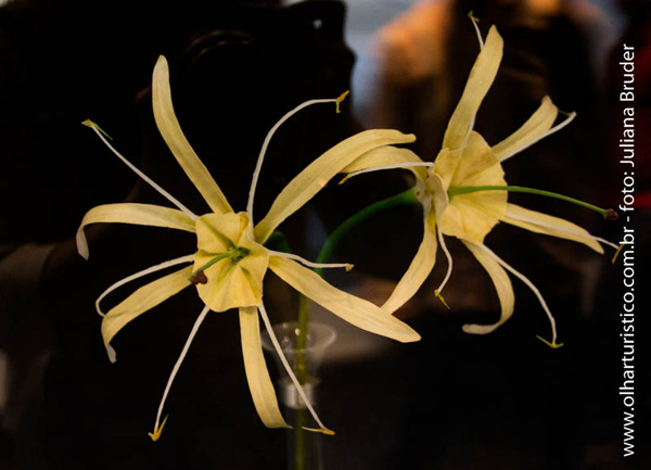 Flor-inspiração-do-Burj-Khalifa