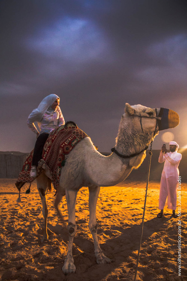 camelos-para-montar