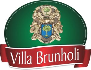 logo brunholi