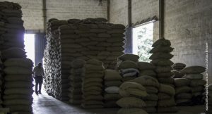 Galpão de café da Cooperativa Coopama, de Machado no sul de Minas Gerais