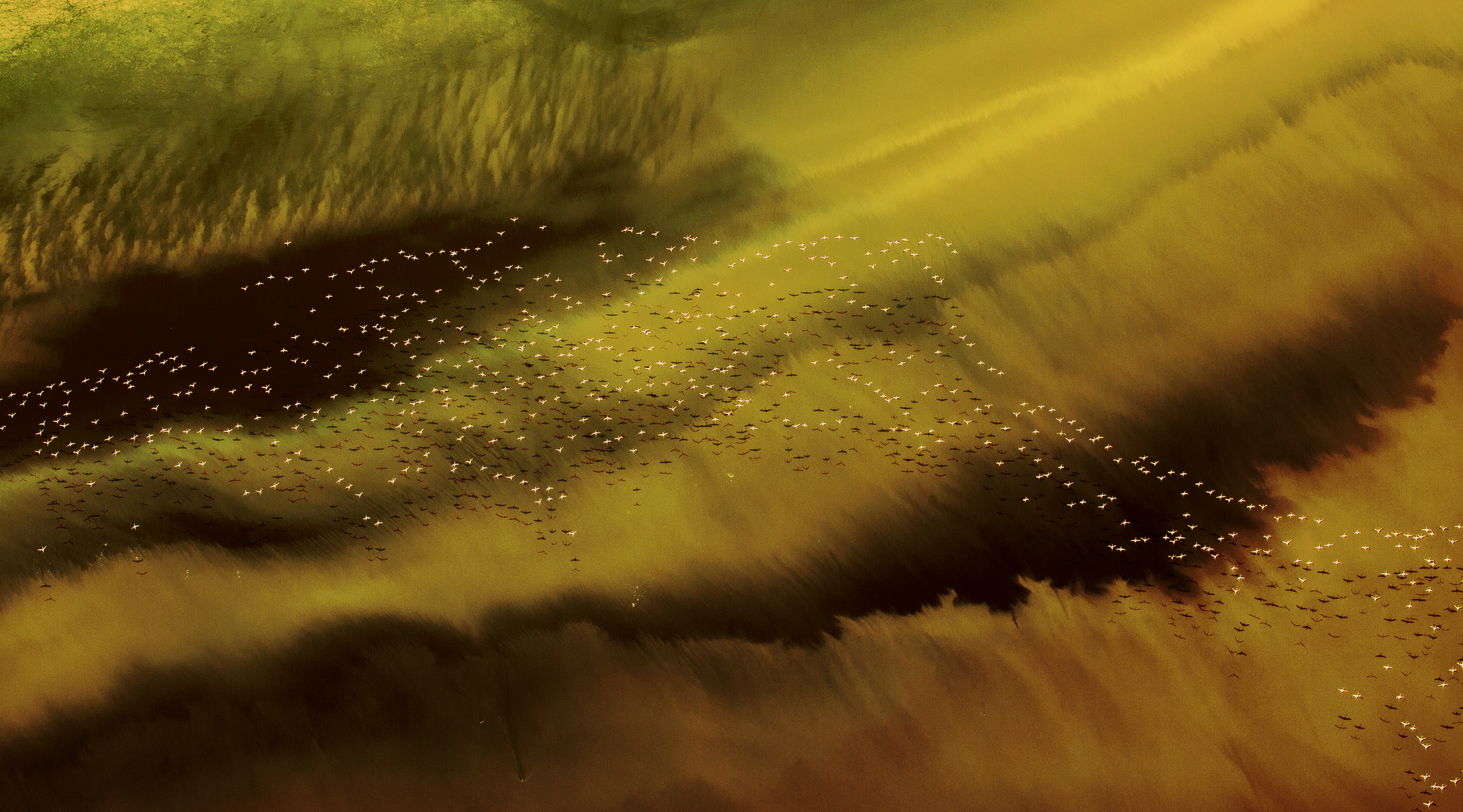 2nd Place - Lynn Emery - United Kingdom