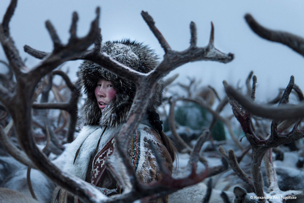 Alexandra Ann Novitske - United States