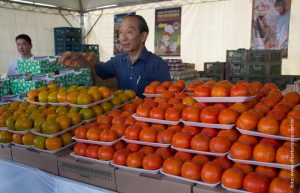 Caqui de Produtor Local