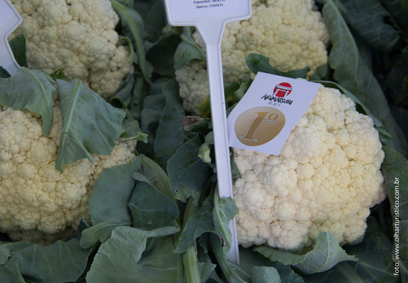 Couve Flor vencedora