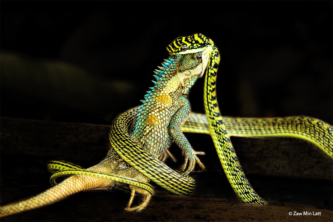 Zaw Min Latt - Mianmar