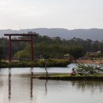 Meditação na margem do lago