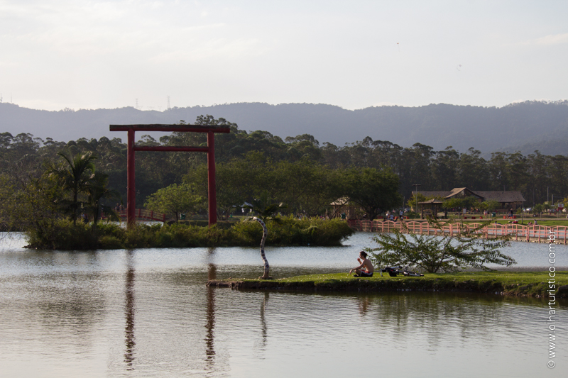 Meditação na margem do lago