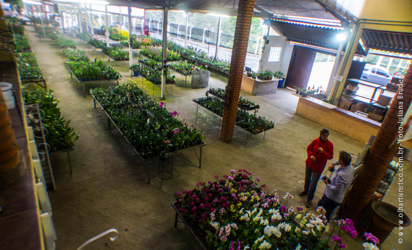 Galpão Loja e Show Room