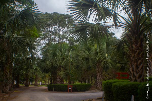 Local do Orquidário