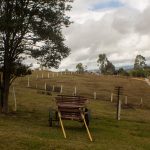 pastagens bucólicas