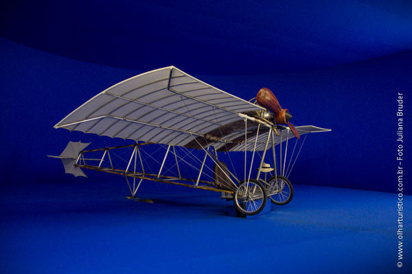 demoiselle-de-santos-dumont