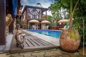 piscina da pousada pura vida