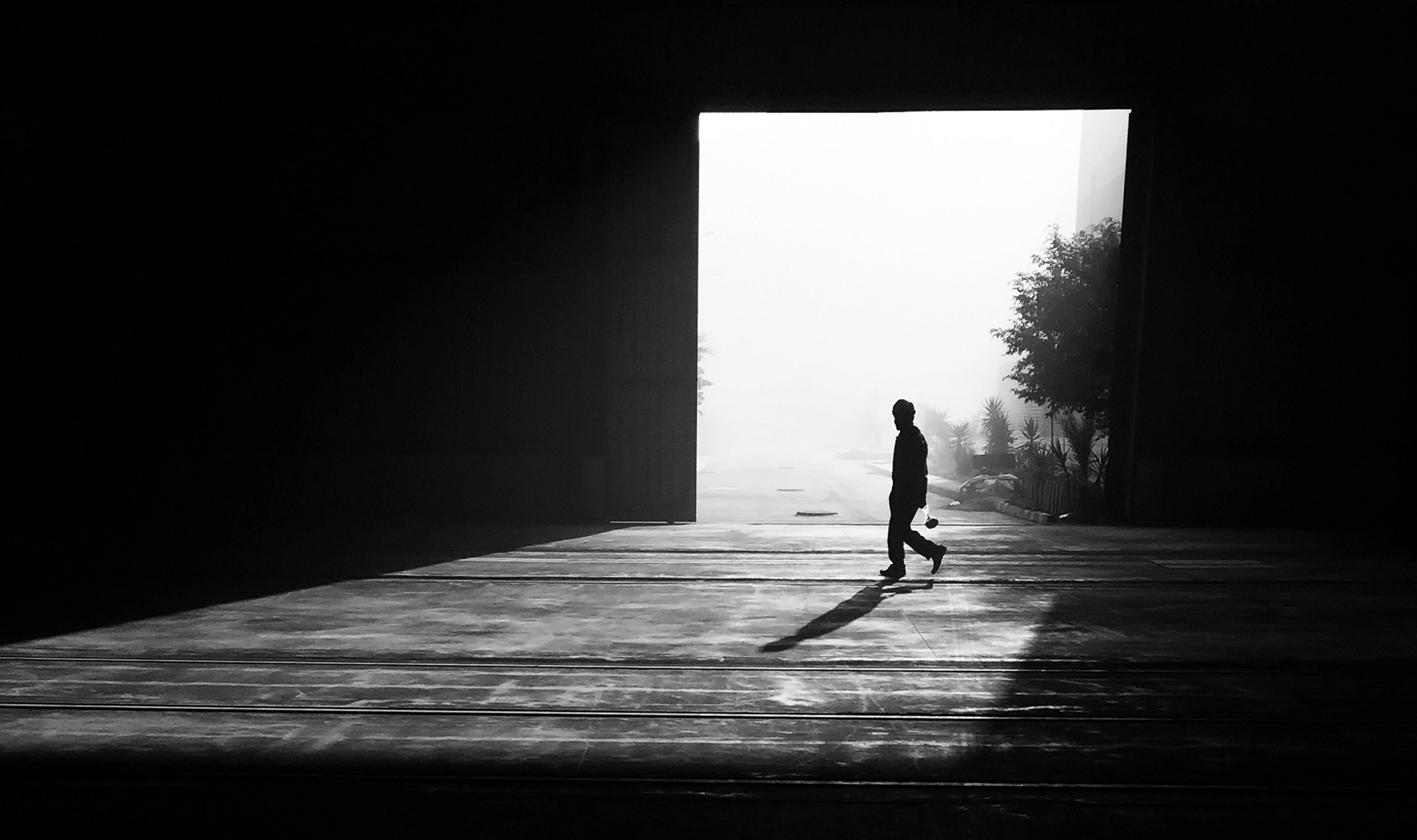 Mohamed Safwat Abdullah Ali