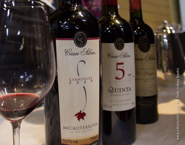 Casa Silva Microterroir de Los Lingues 2011