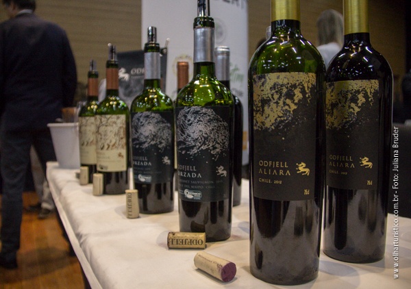 Vinhos Odfjell - Premium Organic Wines