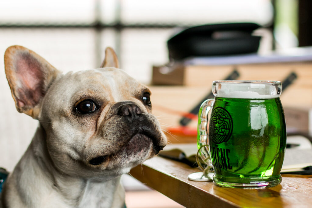 Ação St Patricks na Paulista