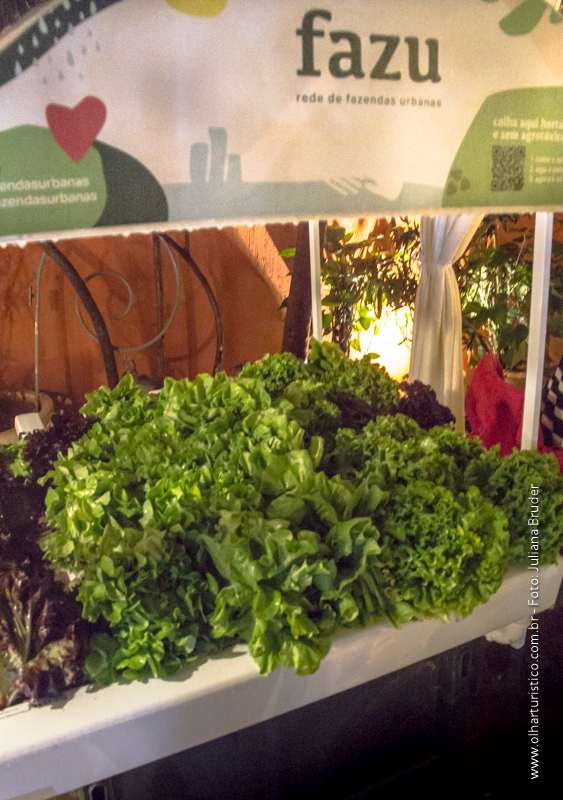 Crops in the restaurant