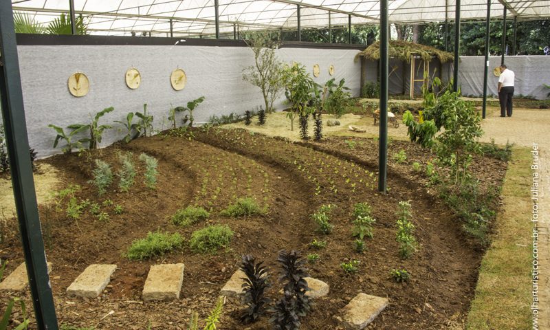 alimentação à base de plantas