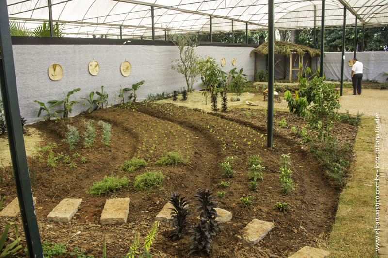 alimentação à base de plantas