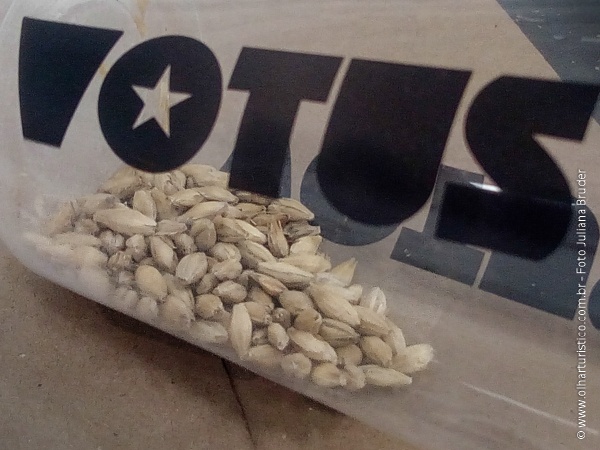 Ingredientes para fabricação de cerveja