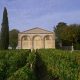 Mouton-Rothschild-vineyard
