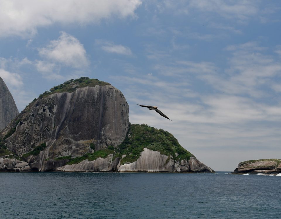 Ilha de Alcatrazes