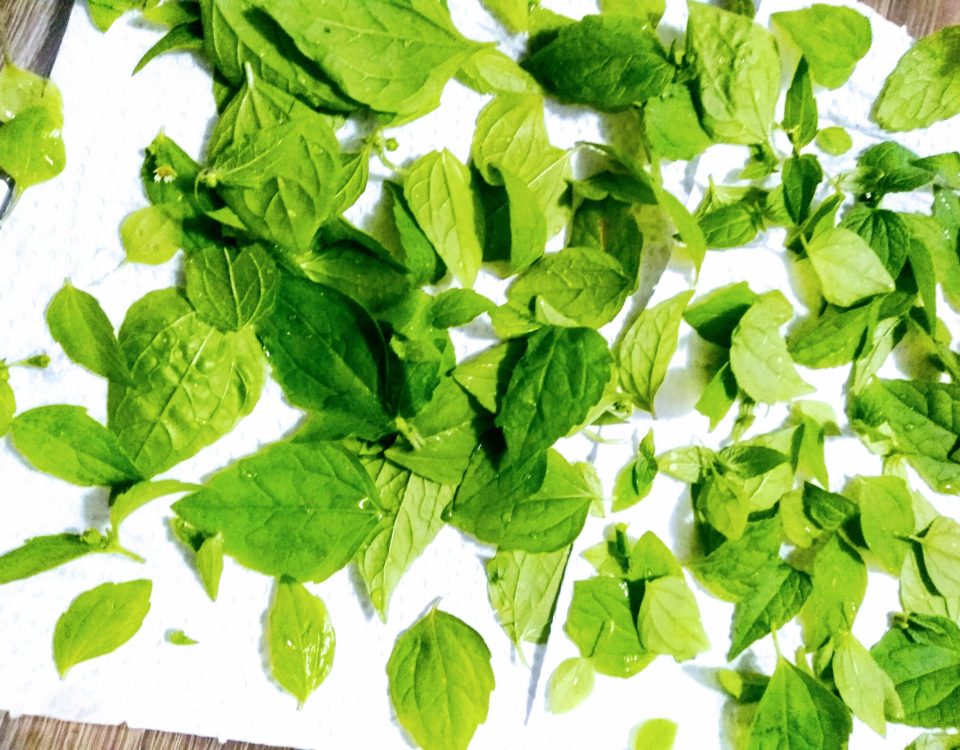 Folhas de Picão Branco